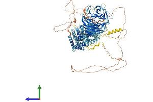 AlphaFold protein structure predicition of Human Recombinant SEC31B Protein, UniprotID Q9NQW1