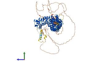 AlphaFold protein structure predicition of Human Recombinant PKP3 Protein, UniprotID Q9Y446