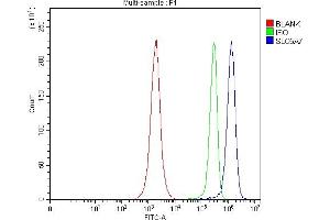 Flow Cytometry analysis of JK cells using anti-SLC5A7 antibody (ABIN7601754). (ChT anticorps  (AA 446-580))