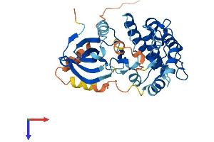 AlphaFold protein structure predicition of Mouse Recombinant Pnck Protein, UniprotID Q9QYK9
