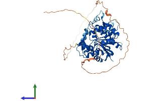 AlphaFold protein structure predicition of Mouse Recombinant Rnmt Protein, UniprotID Q9D0L8