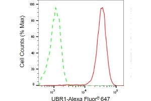Flow cytometric analysis of UBR1 expression in HepG2 cells using UBR1 antibody (ABIN7800717), 1:2,000). (UBR1 anticorps)