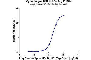 Immobilized Human CA125 at 5 μg/mL (100 μL/Well).