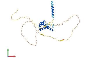 AlphaFold protein structure predicition of Mouse Recombinant Tgif1 Protein, UniprotID P70284