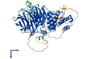 AlphaFold protein structure predicition of Human Recombinant WDTC1 Protein, UniprotID Q8N5D0