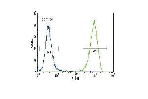 FLT3 (C) Antibody (N-term) (ABIN391981 and ABIN2841772) flow cytometric analysis of 293 cells (right histogram) compared to a negative control cell (left histogram).