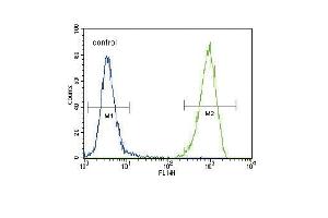FLT3 (C) Antibody (N-term) (ABIN391981 and ABIN2841772) flow cytometric analysis of 293 cells (right histogram) compared to a negative control cell (left histogram). (FLT3 anticorps  (N-Term))