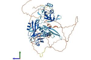 AlphaFold protein structure predicition of Human Recombinant A1CF Protein, UniprotID Q9NQ94
