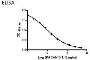 Coating Antigen: 6xHis-MBP-BMP4 recombinant protein (ABIN2703604) 5 µg/mL  Primary Antibody: Mouse Anti-BMP4 (PA354-16. (BMP4 anticorps  (AA 25-408))
