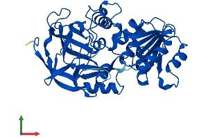 AlphaFold protein structure predicition of Mouse Recombinant Adh7 Protein, UniprotID Q64437