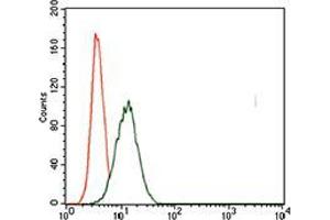 Flow cytometric analysis of HeLa cells using T mouse mAb (green) and negative control (red). (T Antigen (AA 257-309) anticorps)