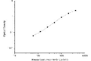 Growth Arrest-Specific 6 (GAS6) ELISA Kit