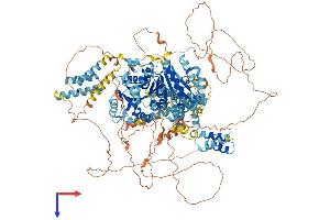 AlphaFold protein structure predicition of Human Recombinant ERCC6L Protein, UniprotID Q2NKX8