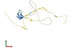 AlphaFold protein structure predicition of Human Recombinant RNPS1 Protein, UniprotID Q15287
