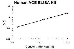 Human ACE PicoKine ELISA Kit standard curve (Angiotensin I Converting Enzyme 1 Kit ELISA)