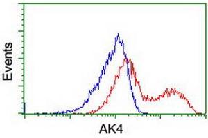HEK293T cells transfected with either RC220572 overexpress plasmid (Red) or empty vector control plasmid (Blue) were immunostained by anti-AK4 antibody (ABIN2454911), and then analyzed by flow cytometry. (AK4 anticorps)