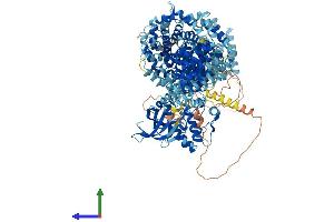 AlphaFold protein structure predicition of Mouse Recombinant Stk36 Protein, UniprotID Q69ZM6