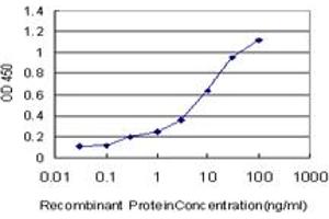Detection limit for recombinant GST tagged MAGI1 is approximately 0.