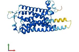 AlphaFold protein structure predicition of Human Recombinant TAAR1 Protein, UniprotID Q96RJ0