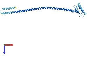 AlphaFold protein structure predicition of Human Recombinant SPC25 Protein, UniprotID Q9HBM1