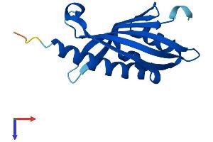 AlphaFold protein structure predicition of Mouse Recombinant Nxt2 Protein, UniprotID Q3UNA4