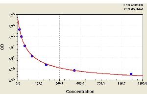 Amyloid beta 1-42 (Abeta 1-42) ELISA Kit