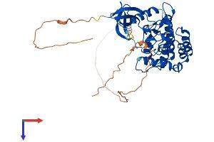 AlphaFold protein structure predicition of Human Recombinant CSNK1G1 Protein, UniprotID Q9HCP0