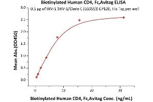 Immobilized HIV-1 [HIV-1/Clade C (16055)] GP120, His Tag (4) at 5 μg/mL (100 μL/well) can bind Biotinylated Human CD4, Fc,Avitag (ABIN5674591,ABIN6253696) with a linear range of 0. (CD4 Protein (CD4) (AA 26-396) (Fc Tag,AVI tag,Biotin))