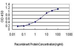 Detection limit for recombinant GST tagged GDF7 is approximately 0.