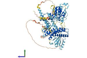 AlphaFold protein structure predicition of Mouse Recombinant Spg7 Protein, UniprotID Q3ULF4