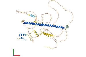 AlphaFold protein structure predicition of Mouse Recombinant Atf2 Protein, UniprotID P16951