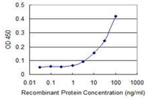 Detection limit for recombinant GST tagged SNAPIN is 1 ng/ml as a capture antibody. (SNAPIN anticorps  (AA 41-136))