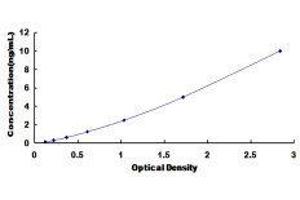 Methyl CpG Binding Protein 2 (MECP2) ELISA Kit
