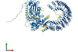 AlphaFold protein structure predicition of Mouse Recombinant Nlrp14 Protein, UniprotID Q6B966