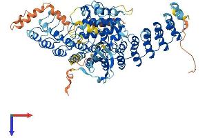 Ankyrin Repeat and Protein Kinase Domain-Containing Protein 1 (ANKK1) (AA 1-765) protein (His tag)
