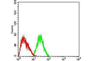 Flow cytometric analysis of HepG2 cells using DNMT3L mouse mAb (green) and negative control (red).