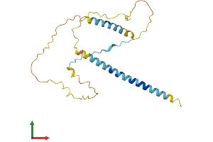 AlphaFold protein structure predicition of Human Recombinant EBAG9 Protein, UniprotID O00559