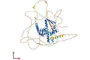 AlphaFold protein structure predicition of Mouse Recombinant Csrnp3 Protein, UniprotID P59055