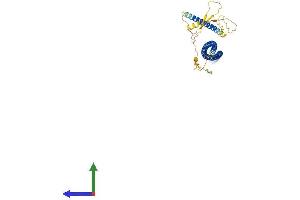 AlphaFold protein structure predicition of Human Recombinant TUFT1 Protein, UniprotID Q9NNX1