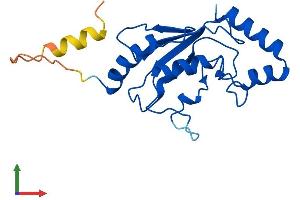 AlphaFold protein structure predicition of Mouse Recombinant Ube2fb Protein, UniprotID Q3UWQ3 (Ube2fb (AA 1-185) protein (His tag))