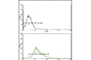 ALOX12 Antibody (C-term) (ABIN652825 and ABIN2842537) flow cytometric analysis of k562 cells (bottom histogram) compared to a negative control cell (top histogram).
