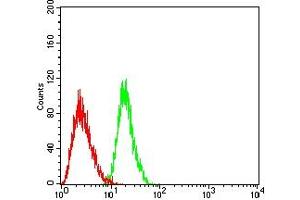 Flow cytometric analysis of HL-60 cells using CD218A mouse mAb (green) and negative control (red). (IL18R1 anticorps  (AA 22-185))