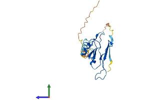 AlphaFold protein structure predicition of Human Recombinant POMZP3 Protein, UniprotID Q6PJE2