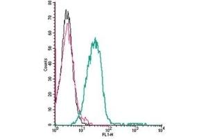 Cell surface detection of P2X3 Receptor by indirect flow cytometry in live intact mouse P815 mastocytoma cells: (black line) Cells.