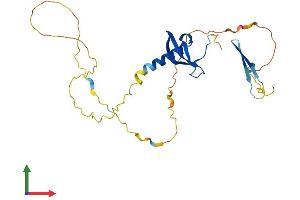 AlphaFold protein structure predicition of Human Recombinant CBX7 Protein, UniprotID O95931