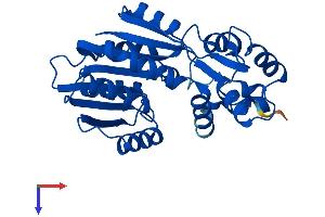AlphaFold protein structure predicition of Human Recombinant HNMT Protein, UniprotID P50135