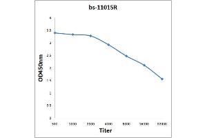 Antigen: 2 µg/100 µL  Primary: Antiserum, 1:500, 1:1000, 1:2000, 1:4000, 1:8000, 1:16000, 1:32000;  Secondary: HRP conjugated Rabbit Anti-Goat IgG at 1: 5000;  TMB staining Read the data in Microplate Reader by 450nm.