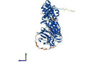 AlphaFold protein structure predicition of Mouse Recombinant Klhl14 Protein, UniprotID Q69ZK5