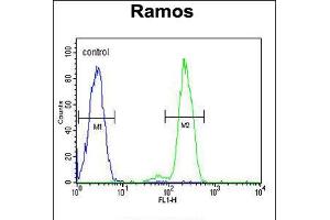 Flow cytometric analysis of Ramos cells (right histogram) compared to a negative control cell (left histogram). (DCP1B anticorps  (AA 261-290))