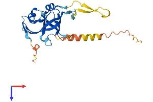 AlphaFold protein structure predicition of Mouse Recombinant Arpin Protein, UniprotID Q9D0A3